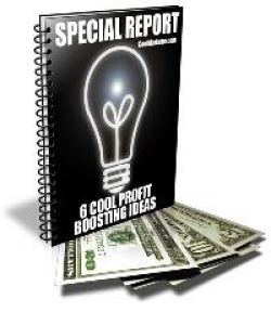 cool profit boosting ideas ebook