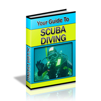 Your Guide to Scuba Diving