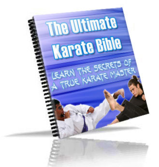 ultimate karate bible ebook