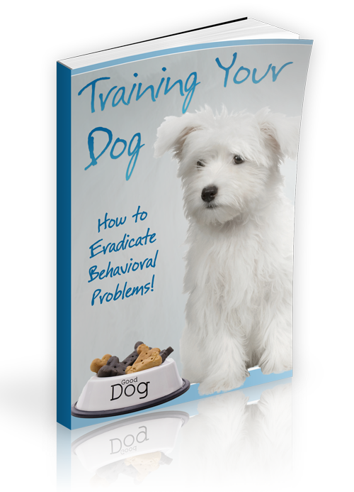training your dog ebook