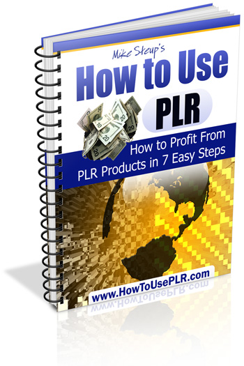 use PLR ebook