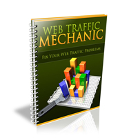 Web Traffic Mechanic