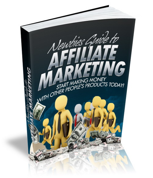 newbies guide affiliate marketing ebook
