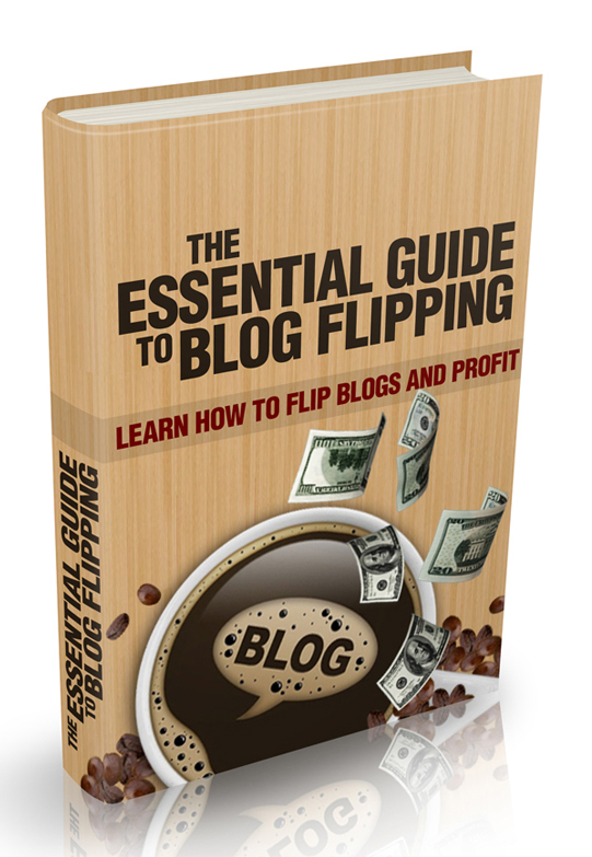 essential guide blog flipping ebook