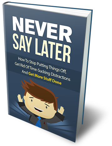 never say later ebook