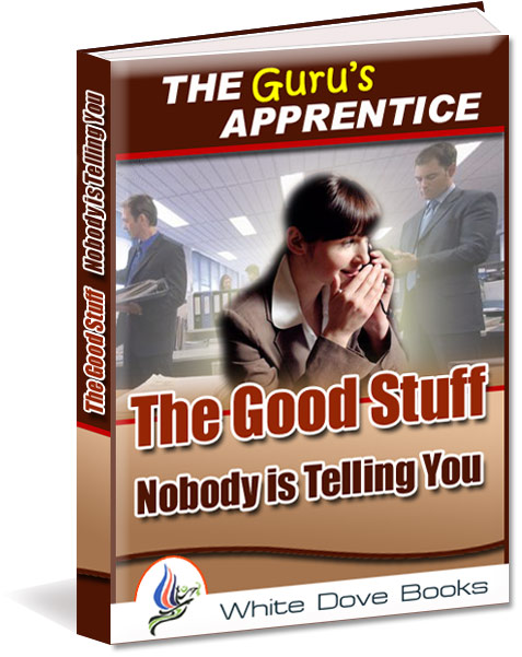 good stuff nobody telling you ebook