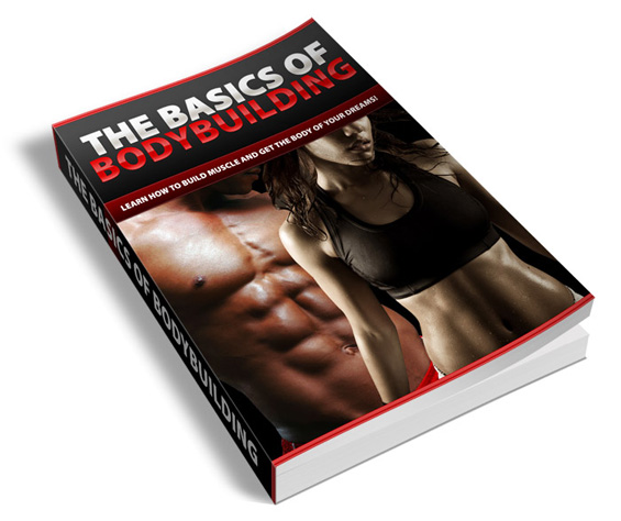basics bodybuilding ebook
