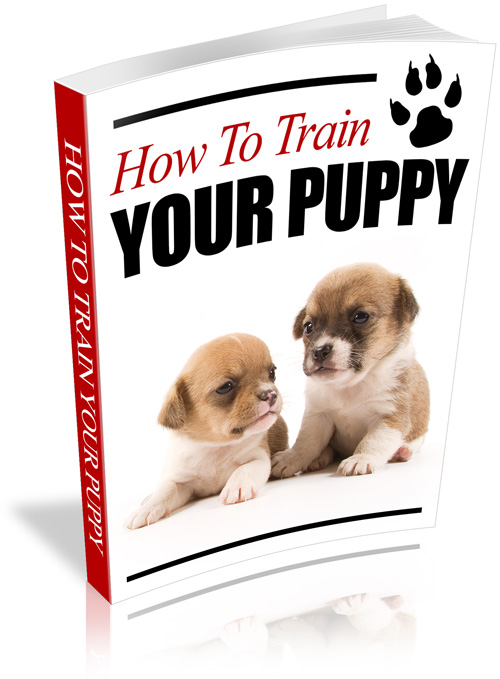 How to Train Your Puppy train your puppy ebook