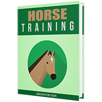 Horse Training