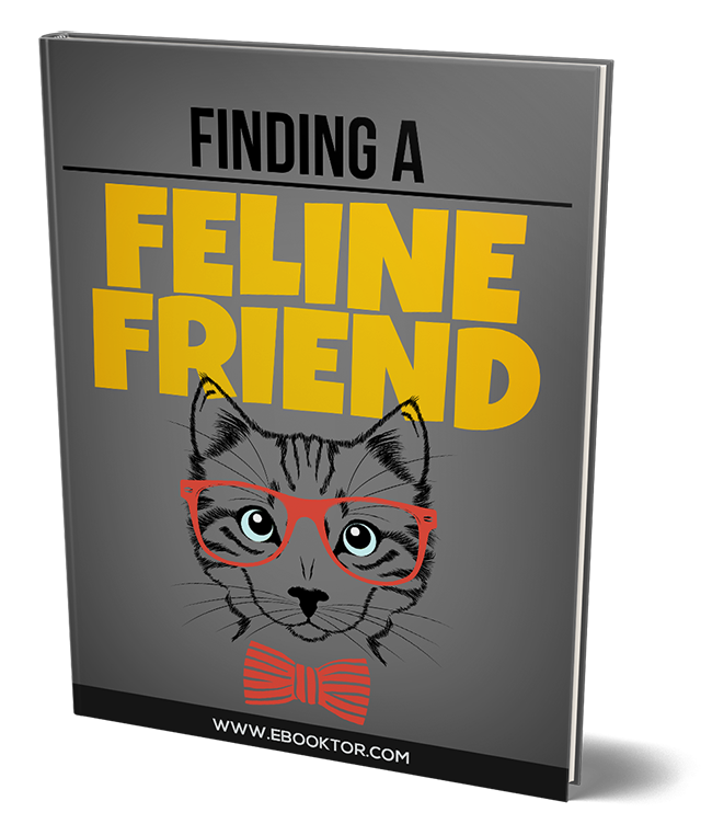 finding feline friend ebook