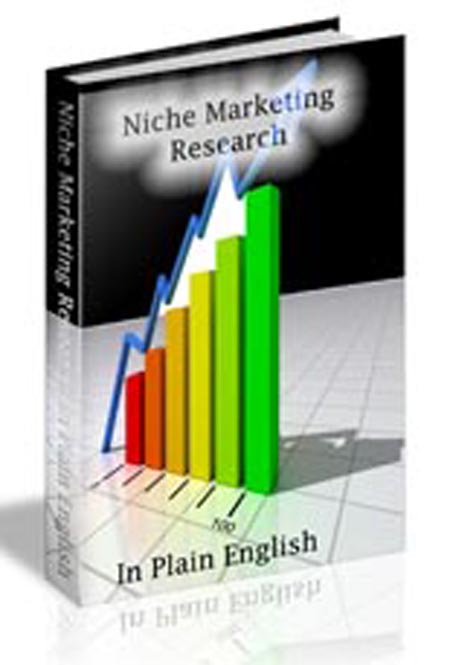 niche marketing research plain english ebook