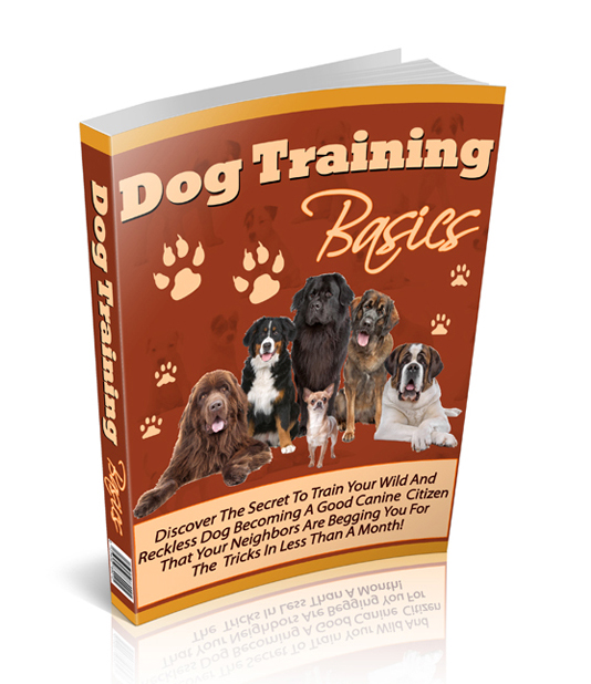 dog training basics ebook