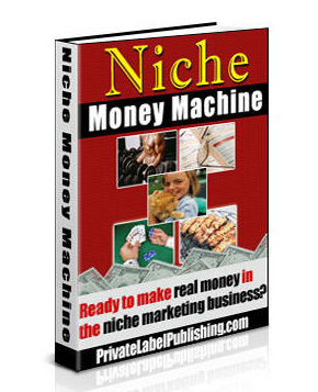 niche money machine ebook