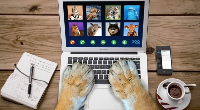 maximize engagement plr videos