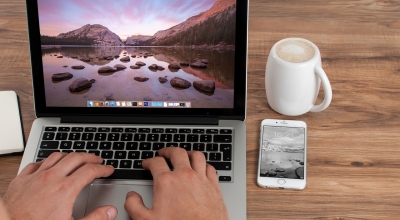 navigating plr blogs niches