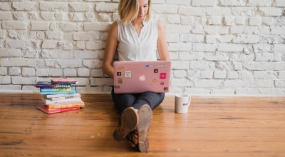 establish niche plr blogs