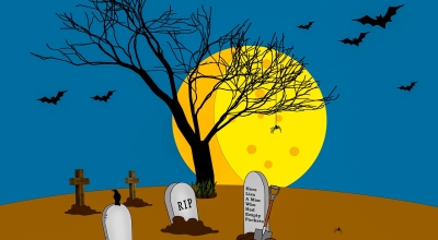 engaging plr graphics