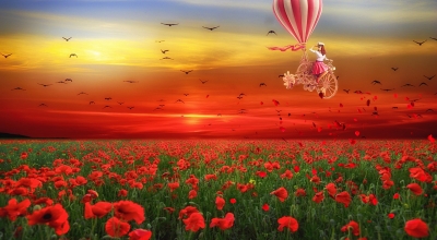 uncover hidden plr niches