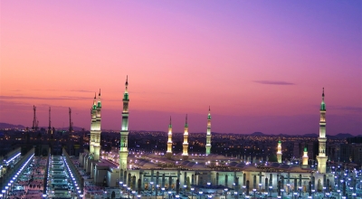 maximize roi plr niches