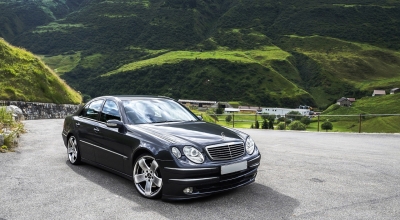 exploring lucrative plr niches