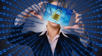 customizing plr software brand