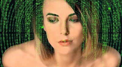 elevate offerings plr software