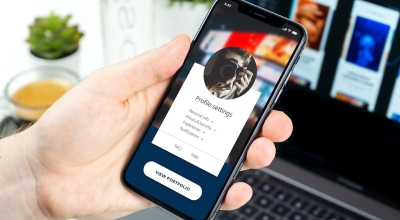 selecting best plr software