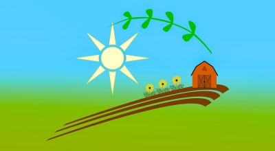 key to affordable plr branding