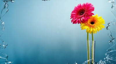 crafting compelling plr sites