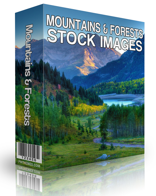 forests mountains stock