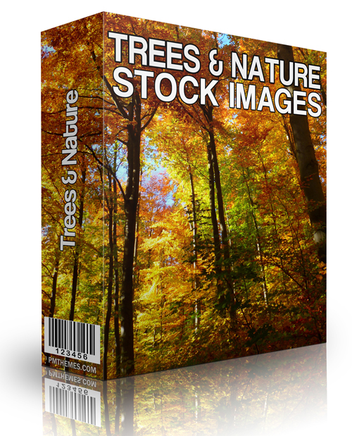nature trees stock