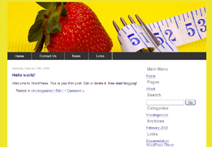website themes vol template