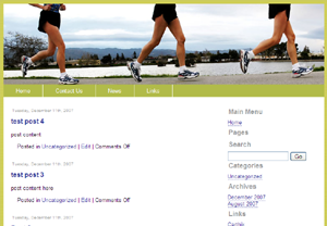 themes vol 6 template
