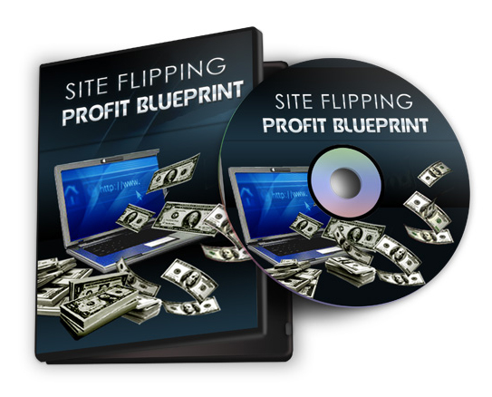 site flipping profit blueprints video