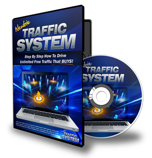 newbie traffic system video